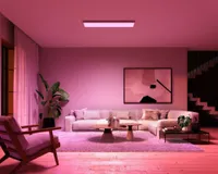 PANEELVALGUSTI PHILIPS HUE SURIMU 60W 4200LM 200-6500K+RGB HUE 