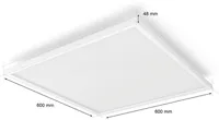 PANEELVALGUSTI PHILIPS HUE SURIMU 60W 4200LM 200-6500K+RGB HUE RUUT