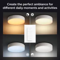 LAELAMP PHILIPS HUE ENRAVE S 9,6W 1220LM 2200-6500K HUE VALGE