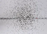 ÜHEKSAVÄGINE ÖKO EERIKSAARE MAHE 0,1G