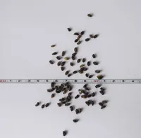 KURGIROHI ÖKO EERIKSAARE MAHE 5G