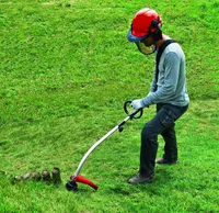 BENSIINI MURUTRIMMER EINHELL GC-PT 2538/1 I AS