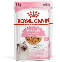 MÄRGTOIT ROYAL CANIN KASSILPOJALE JELLY 12X85G