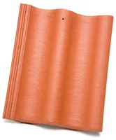 REAKIVI MONIER ELEGANT PLUS