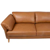 NURGADIIVAN COLLINS PN KONJAKIPRUUN NAHK