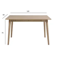 KIRJUTUSLAUD MARTE 120X60XH75CM, TAMM