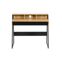 KIRJUTUSLAUD REECE, 100X50XH88CM, TAMM