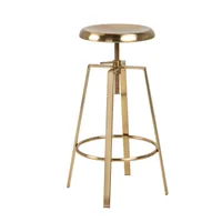 BAARITOOL GOOSE KULDNE