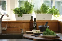 TAIMEKAST ELHO GREEN BASICS MINI 30X12CM 1,2L HELE TERRAKOTA