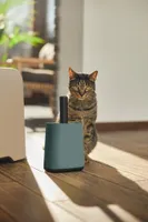 KASSILIIVAKÜHVEL BIALA KOOS HOIDIKUGA ROHELINE