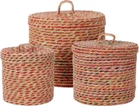 PUNUTUD KORV KAANEGA M 25X22CM