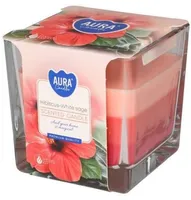 LÕHNAKÜÜNAL AURA HIBISCUS-WHITE SAGE KLAASIS