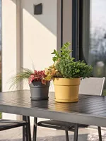 LILLEPOTT BLOOM TUMEHALL Ø24CM