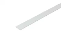 PVC PROFIIL CEZAR FLAT 30X2,5X2750MM VALGE RAL9003 