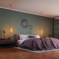 RIPPVALGUSTI LEDVANCE PENDULUM NEEDLE E27 BEEŽ