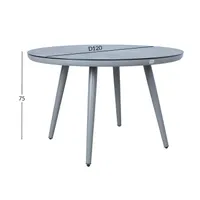 LAUD SILVA D120XH75CM, HALLIKASBEEŽ