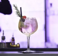 KOKTEILIKLAAS GIN TONIC ROYAL LEERDAM 65CL, 4TK