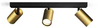 VANNITOAVALGUSTI PHILIPS IDRIS 3X5W HV IP44 MESSING