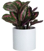 LILLEPOTT 4LIVING MELISSA 20CM, VALGE