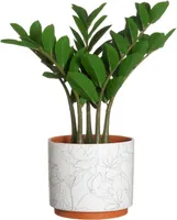 LILLEPOTT 4LIVING CORA 20CM, VALGE