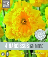 NARTSISS KAPITEYN GOLD DISC 4TK