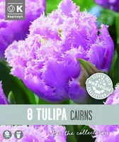 NARMAS TÄIDISÕIELINE TULP KAPITEYN CAIRNS 8TK