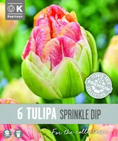 HILINE TÄIDISÕIELINE TULP KAPITEYN SPRINKLE DIP 6TK