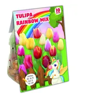 TULP KAPITEYN RAINBOW VALIK 10TK