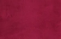 PLEED 4LIVING GERT 125X150CM PUNANE