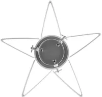 KUUSEJALG TÄHT VALGE