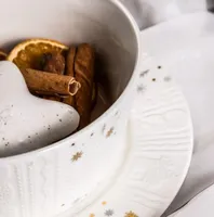 KAUSS ALTOM DESIGN JÕULUSÄRA 600ML