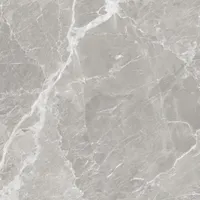 PÕRANDA-JA SEINAPLAAT ITACA MISTY GREY GLOSSY 60X60CM, 1,44M2 PAKIS