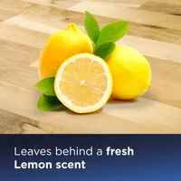 PUHASTUSVAHEND BISSELL WOOD FLOOR 1L