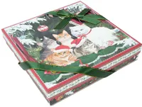 KORRUSVAAGEN MIA CATS, KINKEKARBIS