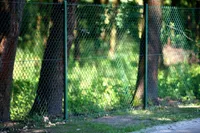 AIAVÕRK PUNUTUD PVC REPLAX H1500 25M/RL