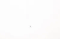 KAABEL MSK 2X0,75MM2 VA R100