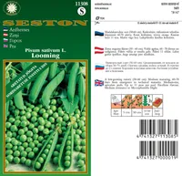 SEEMNED SESTON SEEMNED AEDHERNES "LOOMING" 50-60CM