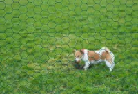 VÕRKAED PLASTIKKATTEGA 1H X5M 13MM