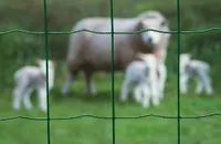 VÕRKAED PLASTIKKATTEGA 10X0,8M 75MM