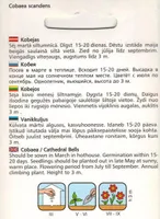 LILLESEEME VANIKKULJUS VALGE 5 S