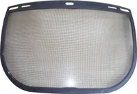 EURO PROTECTION VÕRGUST NÄOKAITSE VISIIR