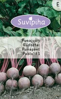 KÖÖGIVILJASEEMNED SUVIPIHA PUNAPEET PABLO F1 ÜMAR 170S 