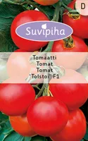 KÖÖGIVILJASEEMNED SUVIPIHA TOMAT TOLSTOI 
