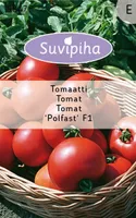 KÖÖGIVILJASEEMNED SUVIPIHA TOMAT POLFAST F1 50S 