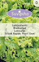 KÖÖGIVILJASEEMNED LEHTSALAT GRAND RAPIDS PEARL GEM