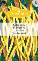 KÖÖGIVILJASEEMNED SUVIPIHA LATTUBA NECKARGOLD KOLLANE 