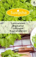 KÖÖGIVILJASEEMNED SUVIPIHA LEHTSALAT AUSTRALIALAINEN 