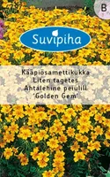 LILLESEEMNED SUVIPIHA PEIULILL AHTALEHINE GOLDEN GEM 