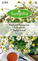 KÖÖGIVILJASEEMNED SUVIPIHA KUMMEL 