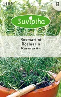 KÖÖGIVILJASEEMNED SUVIPIHA ROSMARIIN 